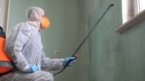 Best Mold Prevention Services  in Lillian, AL